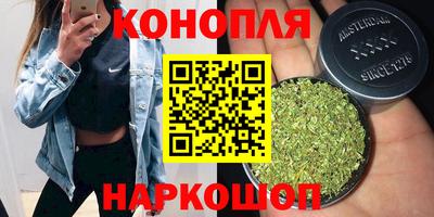 сатива Гусев