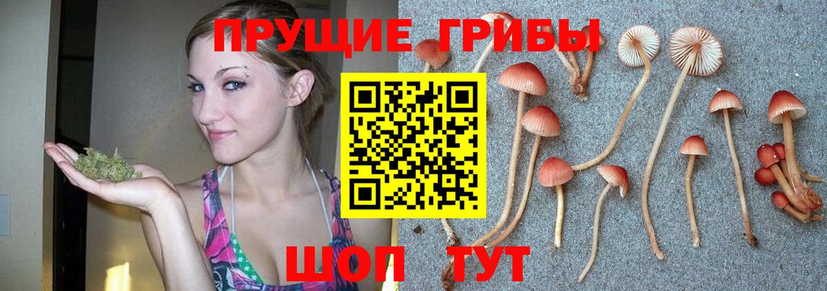 где продают   Псилоцибиновые грибы Magic Shrooms  Вход с VPN  Арсеньев  Псилоцибиновые грибы прущие грибы 
